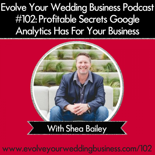 Episode 102: Profitable Secrets Google Analytics Has For Your Business with Shea Bailey